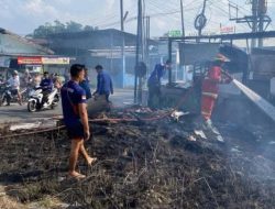 Diduga Puntung Rokok, Kebakaran Lahan di Binjai Nyaris Hanguskan Gudang Kayu
