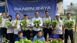 Kembangkan Lahan Ketapang Rutan Tanjung Pura Memanfaatkan Area Brandgang Dukung Program Swasembada Pangan Nasional