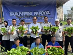 Kembangkan Lahan Ketapang Rutan Tanjung Pura Memanfaatkan Area Brandgang Dukung Program Swasembada Pangan Nasional