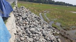 Kegiatan Pembangunanan Irigasi dari Dinas Pertanian di Desa Kubangwungu tidak Tranparan dan di Nilai Tidak Sesuai Ketentuan.