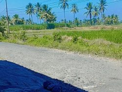 Pemkab Lumajang Ditengarai Tidak Mampu Memperbaiki Ruas Jalan Gesang – Pasrujambe & Wilayah Lainnya