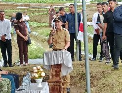Bupati Michael Thungari dan Kajati Sulut Dorong Kemandirian Pangan Lewat Penanaman Cabai Lokal di Tabukan Utara